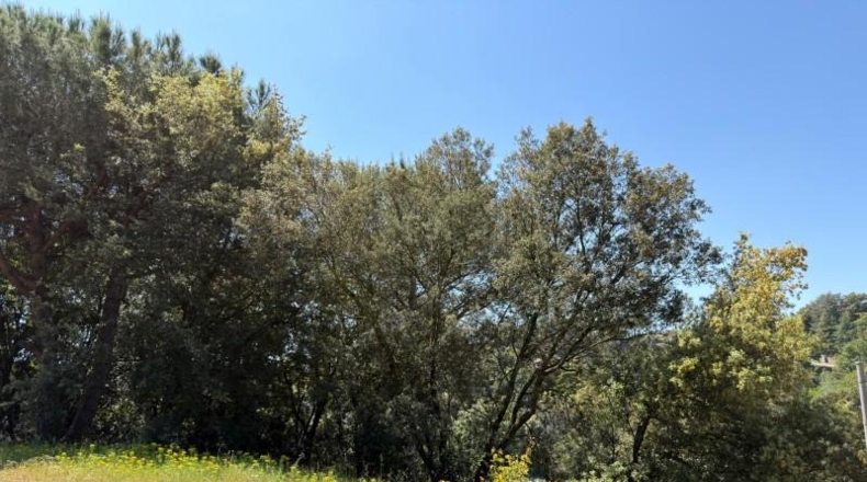 Barcelona - Sant Pere de Vilamajor - 817m2
