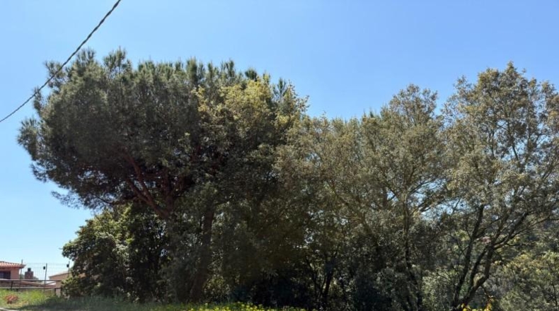 Barcelona - Sant Pere de Vilamajor - 817m2
