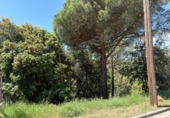 Suelo urbano en venta en la España, Sant Pere de Vilamajor, ref: TR407123 foto