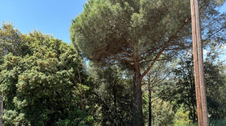 Barcelona - Sant Pere de Vilamajor - 817m2