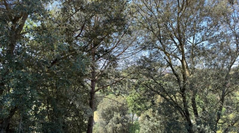 Barcelona - Sant Pere de Vilamajor - 817m2