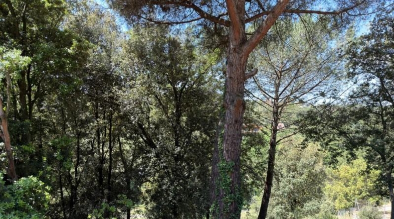 Barcelona - Sant Pere de Vilamajor - 817m2