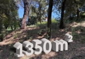 Suelo urbano en venta en la España, Sant Pere de Vilamajor, ref: TR407491 foto