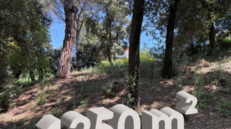 Barcelona - Sant Pere de Vilamajor - 1350m2