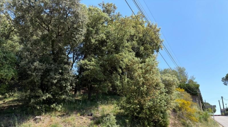 Barcelona - Sant Pere de Vilamajor - 1350m2
