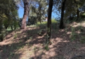 Suelo urbano en venta en la España, Sant Pere de Vilamajor, ref: TR407491 foto