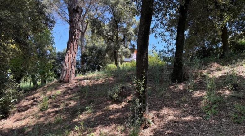 Barcelona - Sant Pere de Vilamajor - 1350m2
