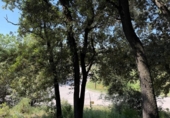 Suelo urbano en venta en la España, Sant Pere de Vilamajor, ref: TR407491 foto