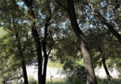 Suelo urbano en venta en la España, Sant Pere de Vilamajor, ref: TR407491 foto