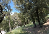 Suelo urbano en venta en la España, Sant Pere de Vilamajor, ref: TR407491 foto