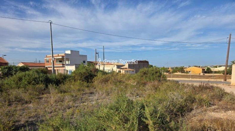 Alicante - Elche - 1233m2