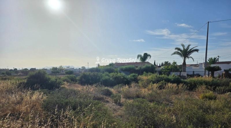 Alicante - Elche - 1233m2