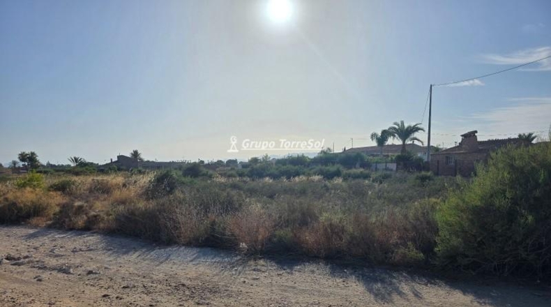 Alicante - Elche - 1233m2