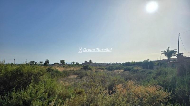 Alicante - Elche - 1233m2