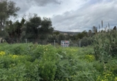 Terreno no urbanizable en venta en la España, Torremolinos, ref: TR395192 foto