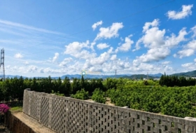 Oliva 560&nbsp;м²