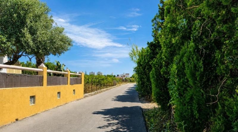 Valencia - Oliva - 560m2