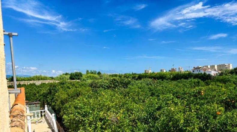 Valencia - Oliva - 560m2