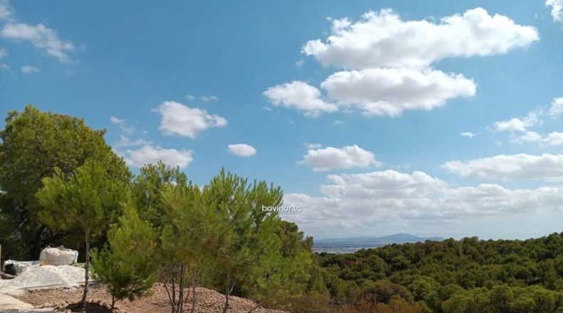 Múrcia - Totana - 5000m2