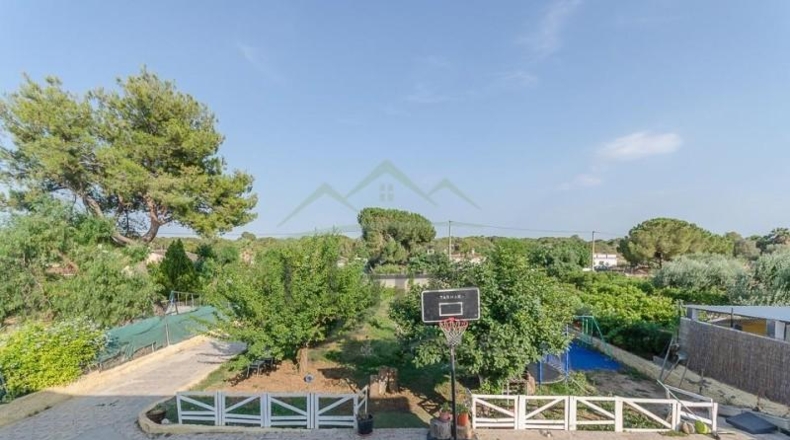 Valencia - Llíria - 1169m2