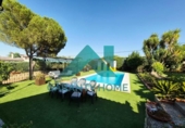 Chalet independiente con terreno en venta en la España, Casar de Cáceres, ref: TR353836 foto