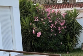 Chiclana de la Frontera 1200&nbsp;м²