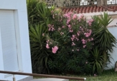 Отдельно стоящий дом с участком на продажу в городе Chiclana de la Frontera Фото