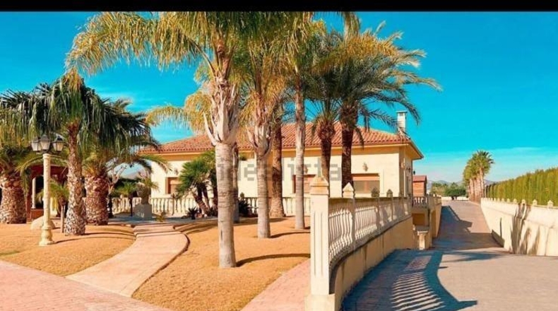 Alicante - Aspe - 11000m2