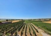 Chalet adosado con terreno en venta en Vilanova de Segrià ref: TR416732 foto