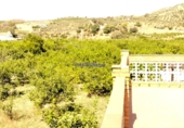 Rural estate for sale on Partido Vega Morales, Álora, ref: TR417776 photo