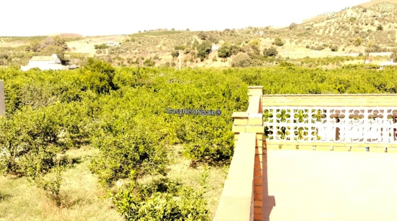 Málaga - Álora - 8400m2