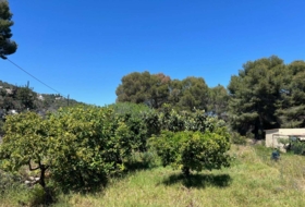 Calpe 1445&nbsp;m²