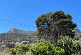 Calpe 1445&nbsp;m²