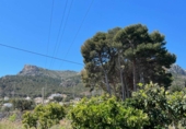 Chalet independiente con terreno en venta en Calpe ref: TR417778 foto