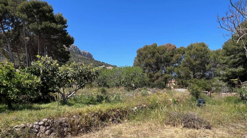 Alicante - Calpe - 1445m2