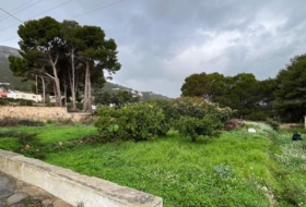 Calpe 1445&nbsp;m²