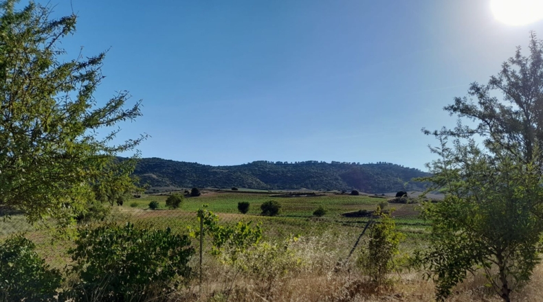 Cuenca - Cuenca - 1960m2