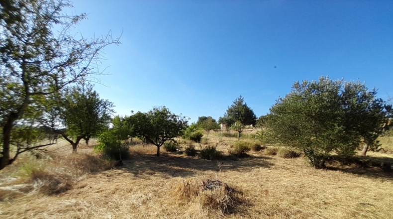 Cuenca - Cuenca - 1960m2