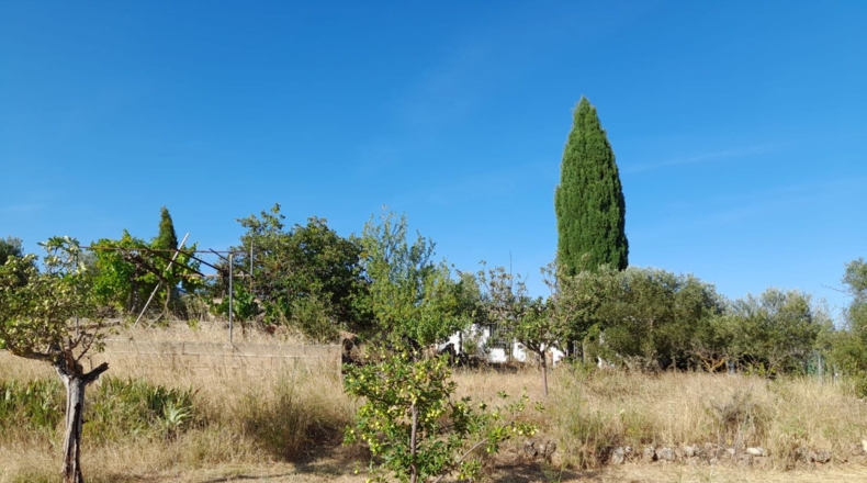 Cuenca - Cuenca - 1960m2