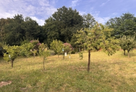 Vilar 2951&nbsp;m²