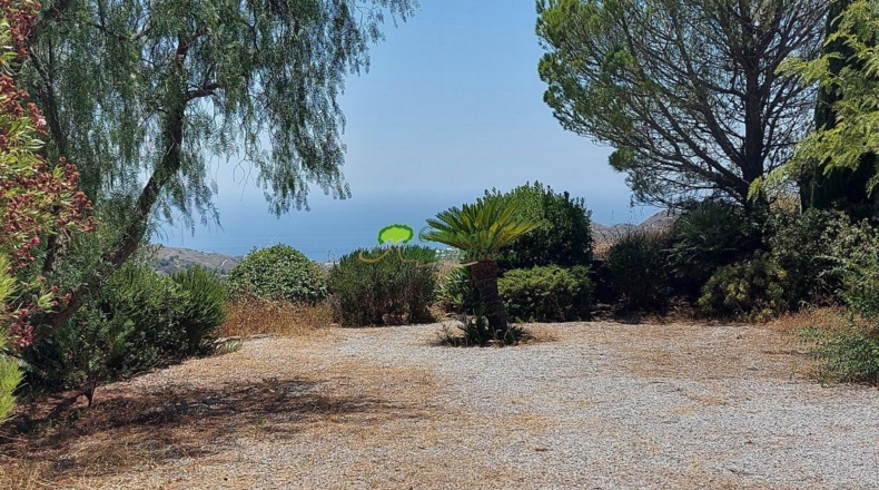Malaga - Cómpeta - 11936m2