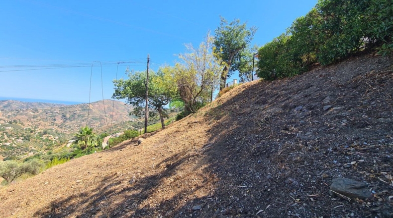 Málaga - Cómpeta - 1500m2