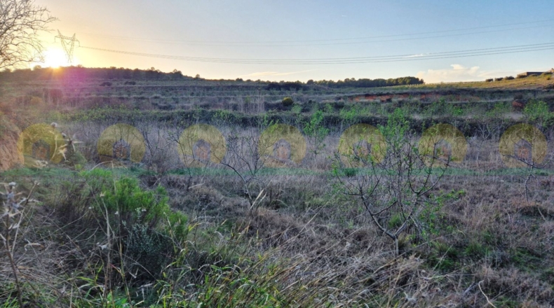 Валенсия - Ontinyent - 3763m2