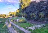 Chalet independiente con terreno en venta en Ontinyent ref: TR368379 foto