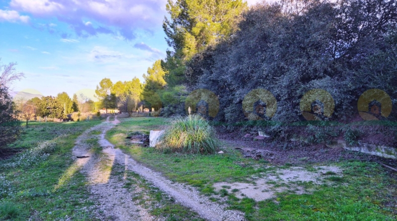 Валенсия - Ontinyent - 3763m2
