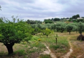 Вилла с участком на продажу в городе Ontinyent. Фото