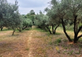 Вилла с участком на продажу в городе Ontinyent. Фото