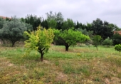 Вилла с участком на продажу в городе Ontinyent. Фото