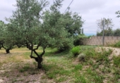 Вилла с участком на продажу в городе Ontinyent. Фото