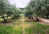 Вилла с участком на продажу в городе Ontinyent. Фото